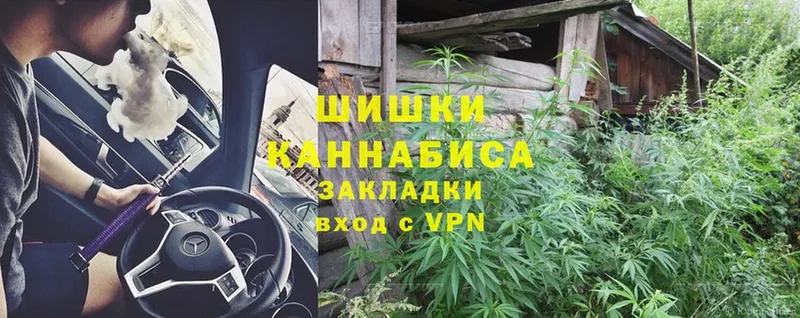 Бошки Шишки OG Kush  Будённовск 